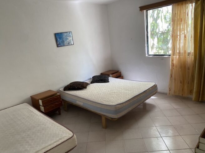🏠 Jepet Hyrje Private 1+1 me Qera mbi ish Tregun Elektrik, Tiranë