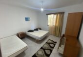 🏠 Jepet Hyrje Private 1+1 me Qera mbi ish Tregun Elektrik, Tiranë