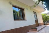 Jap me qira apartament 2+1 ne Rrugen Pandi Stillu Tirane.