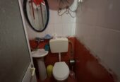 🏡 Jepet Shtëpi me Qera Ditore te Rruga e Elbasanit, 20 Euro nata 🏙