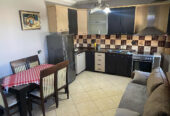 🏡 Jepet Apartament 1+1 me Qera në Fund të Bulevardit të Ri, Tiranë